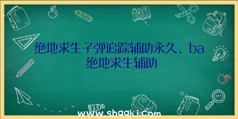 绝地求生子弹追踪辅助永久、ba